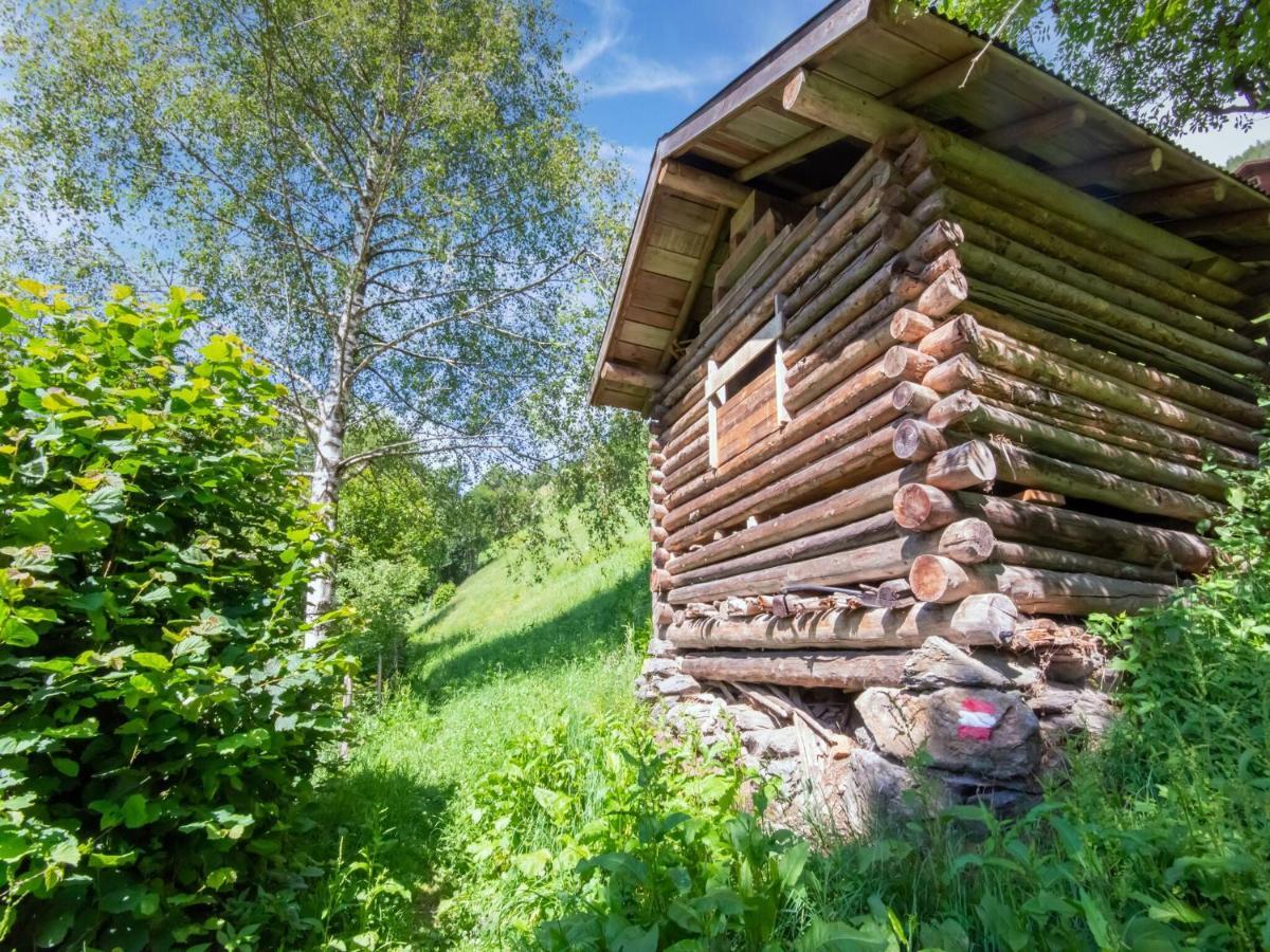 Alpine Holiday Home in Bramberg am Wildkogel with Garden Exterior foto
